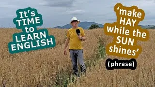 'Make Hay While the Sun Shines' - What does this phrase mean? - It's time to Learn English