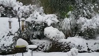 UK Snow Live Stream  - It's snowing again Sunday 10th December 2017