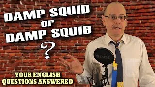 Is it Damp Squid or Damp Squib? / every day English lesson / with Misterduncan