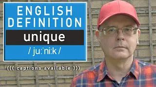 What does UNIQUE mean? - The English Definition
