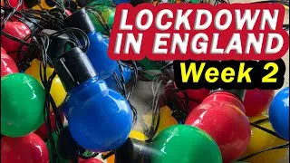 Putting up the Christmas lights / LIVE STREAM - ENGLAND LOCKDOWN WEEK 2 - with Mr Duncan