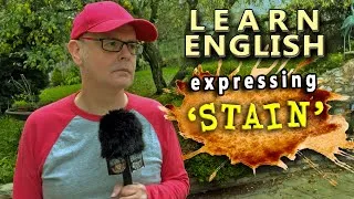 What does 'stain' mean? - How to speak English with Misterduncan in England