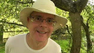 A New English Lesson is Available / Under the Damson Tree / Misterduncan