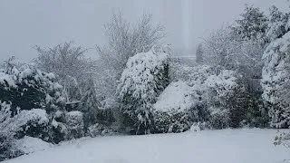 Snow UK Live Stream - It's snowing! - 8th December 2017