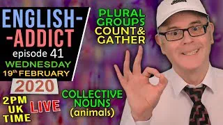 Collective Nouns / English Addict 41 / Live Lesson / Wed 19th Feb 2020 / single/plural/group