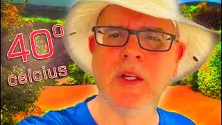 🔥 Will the temperature reach 40° Celsius? - the big heat in England ☀️ LIVE