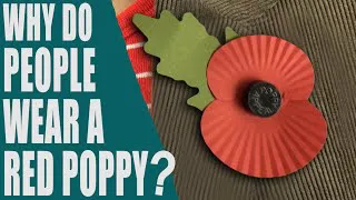 Why do people wear a red poppy? What is Poppy Day? Remembrance Day 2023 - English Topic