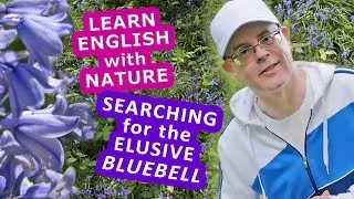 Learn English with Nature - Searching for the Elusive Bluebells