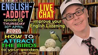 Attract The Birds / English Addict - LIVE Lesson - 30th April 2020 / Listen and Learn with Mr Duncan