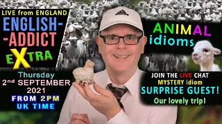 ANIMAL idioms - English Addict eXtra - LIVE - Thursday 2nd September 2021 / With Mr Duncan