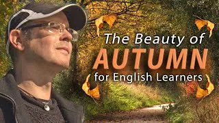 What is Autumn? 🍁 / Learning English - The Beauty of the Autumn Season  (( With Captions ))