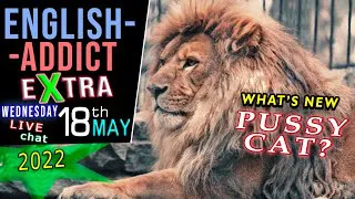 Expressing animal words + phrases / English Addict EXTRA / LIVE CHAT / WED 18th May 2022