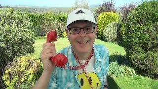 CALLING THE WORLD - LIVE / 🌞 Sunny Tuesday / 14th April 2020 / with Mr Duncan in England