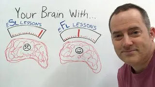 Your Brain On ESL vs. EFL Lessons - EnglishAnyone.com