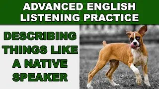 Describing Things Like Native Speakers - Advanced English Listening Practice - 41