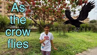 As The Crow Flies | Method to Remember | Vocabulary series | Havisha Rathore