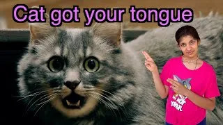 A Cat Got Your Tongue | Vocabulary Series | Havisha Rathore