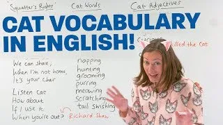 Learn English Vocabulary: CATS! 🐱 🐈