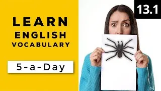Learn English Vocabulary Daily  #13.1 - British English Podcast