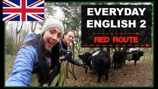 Everyday English - Learn Vocabulary & Test English Listening Skills