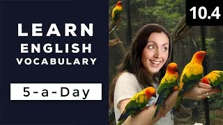 Learn English Vocabulary Daily  #10.4 - British English Podcast
