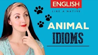 Animal Idioms - Common English Idioms With Meaning