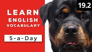 Learn English Vocabulary Daily  #19.2 — British English Podcast