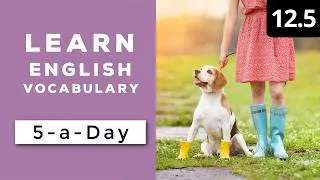 Learn English Vocabulary Daily  #12.5 - British English Podcast