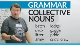 Collective Nouns in English: How to talk about groups of people and things