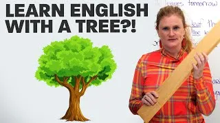 Learn English Vocabulary...with a tree!