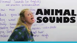 Animals and the sounds they make!