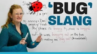 SLANG words using 'bug' in English