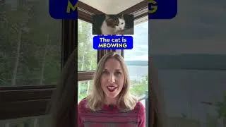 JForrest English