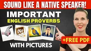 LEARN 10 English PROVERBS You Should Know! (With Pictures + Quiz + Free PDF)