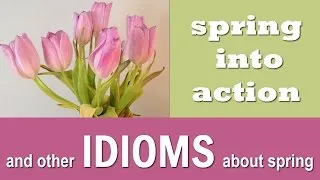 Spring IDIOMS and Sayings - English Vocabulary