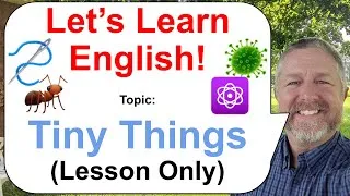 Let's Learn English! Topic: Tiny Things! 🐜🦠⚛️ (Lesson Only)