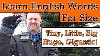Learn English words for size like: Tiny, Huge, Enormous, Gigantic