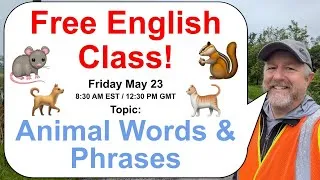 Learn English with Bob the Canadian