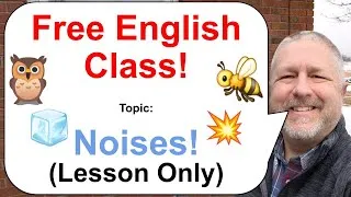 Let's Learn English! Topic: Noises! 💥🐝🧊 (Lesson Only)