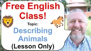 Let's Learn English! Topic: Describing Animals! 🐎🦁🐕 (Lesson Only)