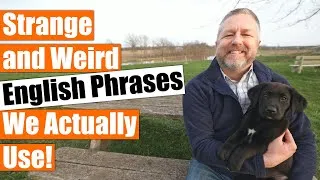 Strange English Phrases We Actually Use! English Idioms and Sayings!