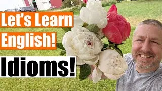 Let's Learn English Idioms on the Farm! A Fun Way to Learn Idioms!