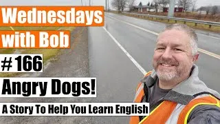 Wednesdays with Bob #166: Two Angry Dogs (Learn English Through Story)
