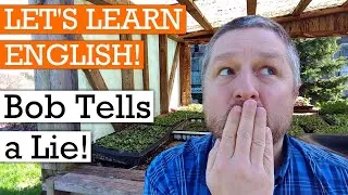 Learn English Words and Phrases about Truth and Lies