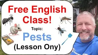Let's Learn English! Topic: Pests! 🦟🐭🐜 (Lesson Only)