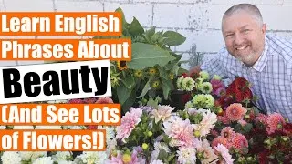 Learn Some English Phrases about Beauty and A Tour of the Flower Farm!