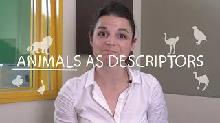 Weekly English Words with Alisha - Animals as Descriptors