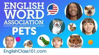 Pets Word Association with English speakers