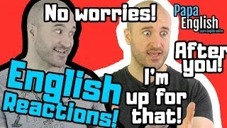 English Reactions! - HOW do I say THIS in English?