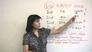 Basic English Grammar - Past Tense Questions